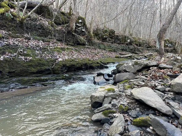 411 Little Wolf Creek Rd, Forest Hill, WV 24935