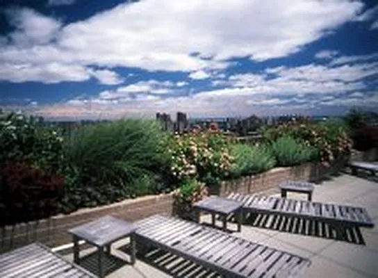 Rented by Carnegie Hill Place | media 30