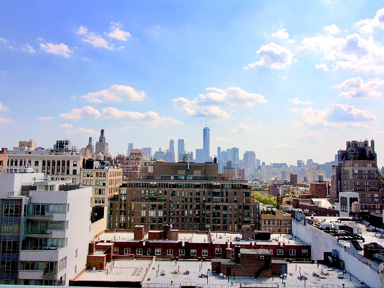 22 W 15th St #15J — Photo 8