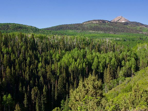 5th image of Tbd Blunt Rd
