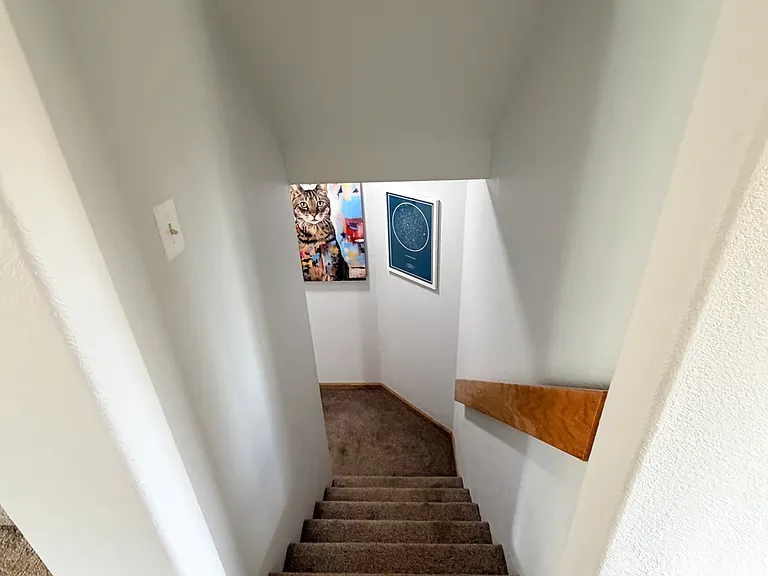 Stairway leading downstairs/basement level.