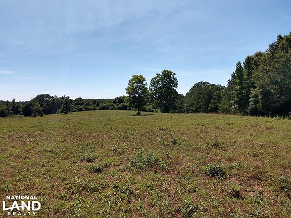 Open fields for game food plots or farming