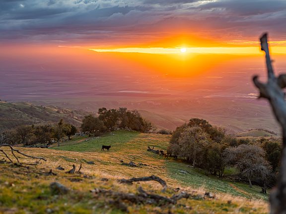 4th image of Sheeptrail Ct