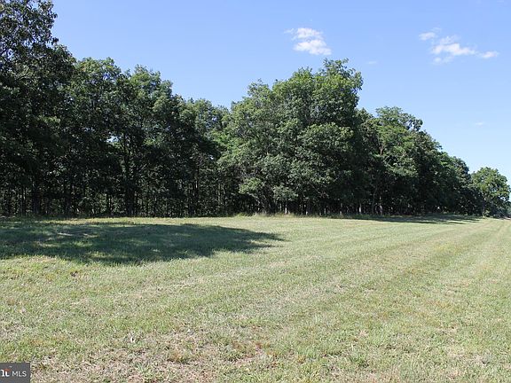 3rd image of Push Root Rd