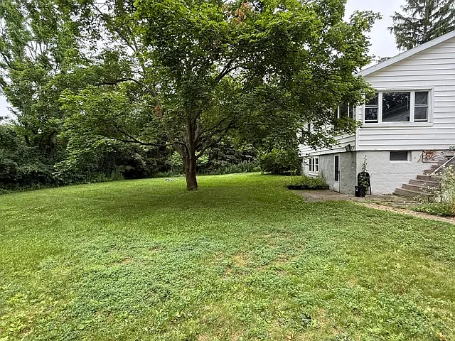 Backyard is big and completely enclosed by tall hedges.