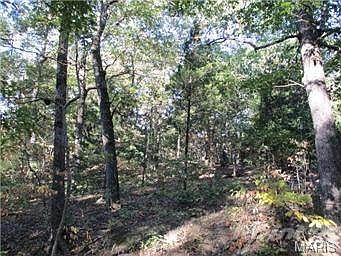 View of area near small pit pond.