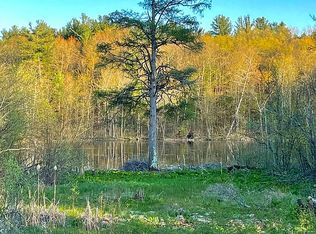 22657 Rosella Dr, Pierson, MI 49339