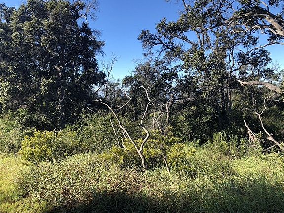 3rd image of Coral Pkwy Lot 36