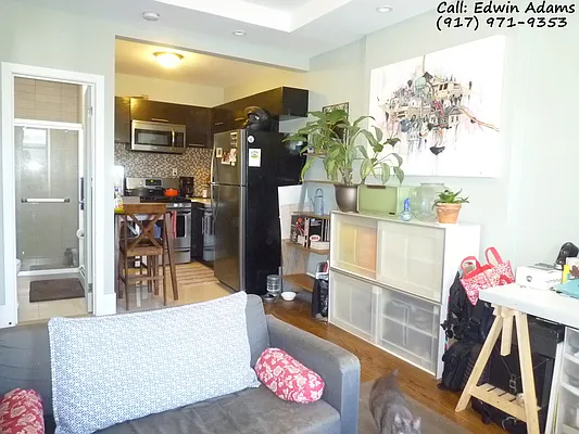 Rented by (Legacy) Brooklyn Rentals NYC | media 19