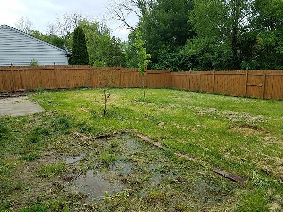 4th image of 11347 Shady Hollow Ln