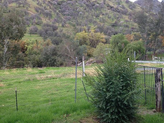 View from Rear Patio