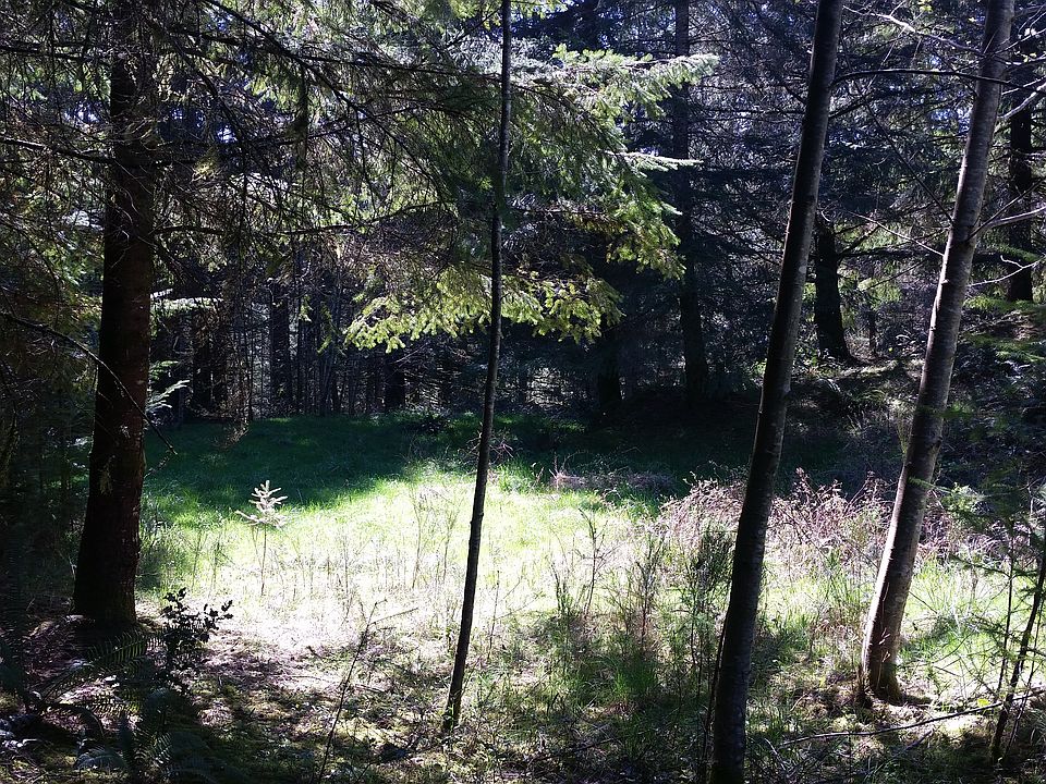 2nd image of Burnett Rd