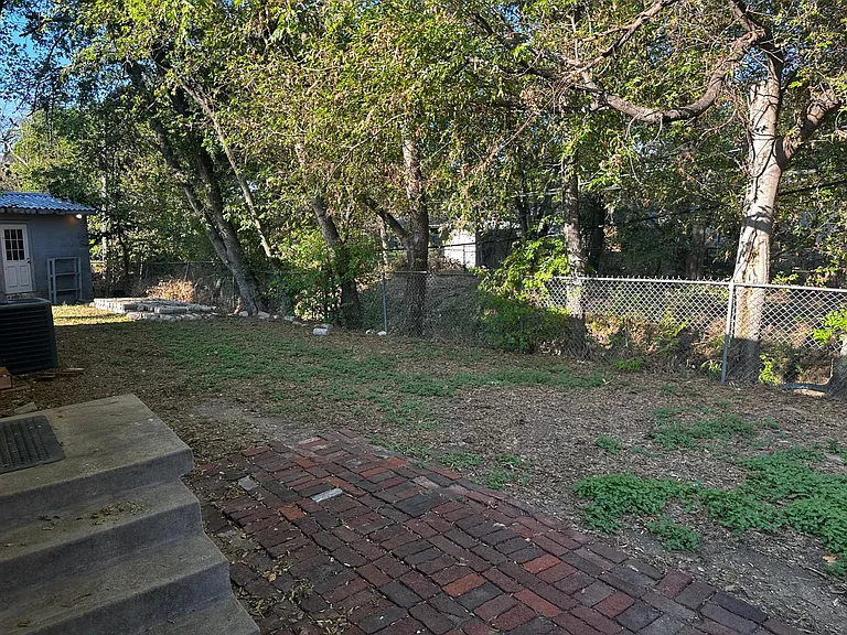 View of backyard