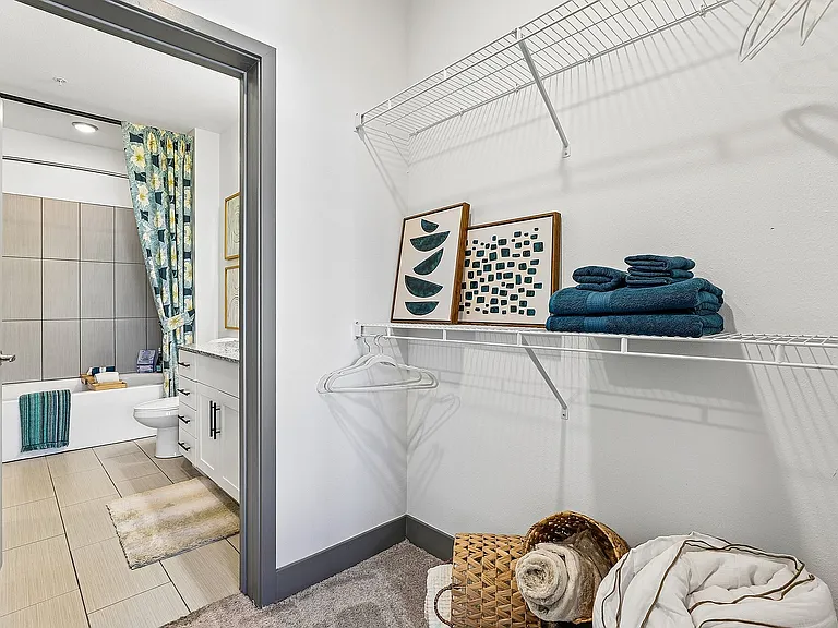 Walk-In Closet space