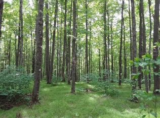 Renberg Rd LOT 3, Long Lake, WI 54542