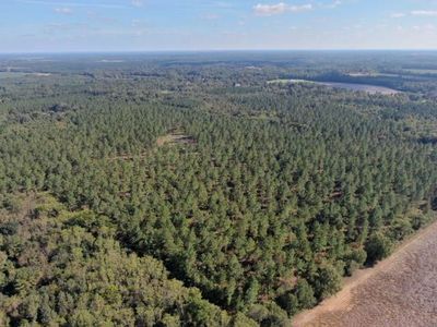 0 Highway 24 S, Waynesboro, GA, 30830
