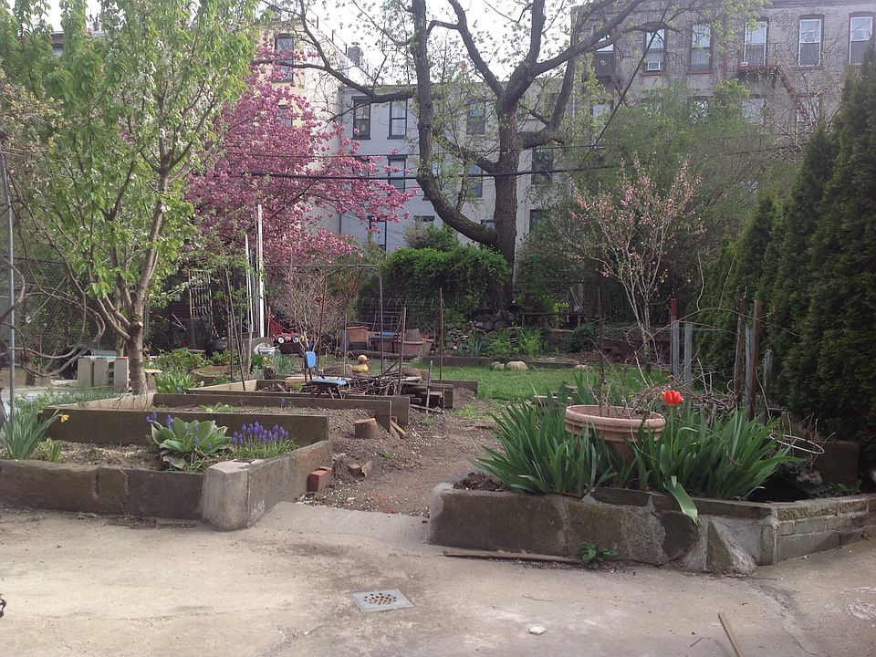 2nd image of 254 Saint Marks Ave