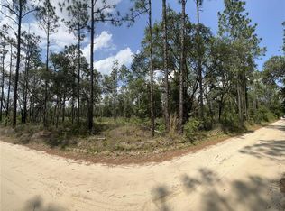 Tbd Ne 72nd Pl, Bronson, FL 32621