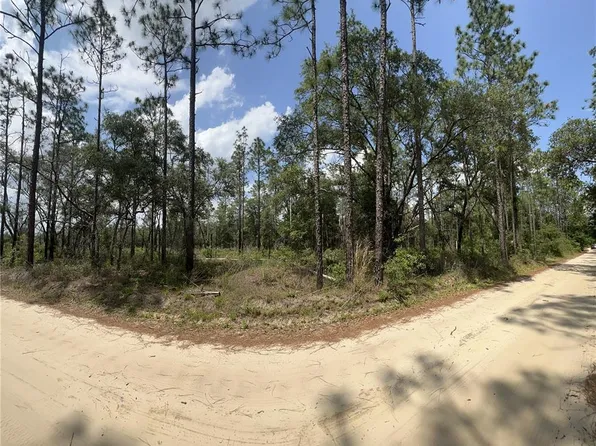 Tbd Ne 72nd Pl, Bronson, FL 32621