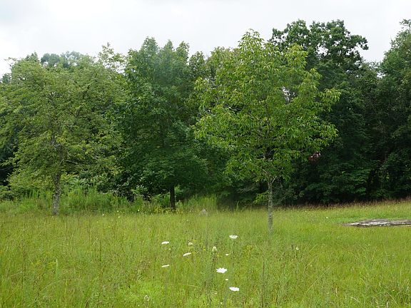 4th image of 119 Breckenridge Dr Lot 1 & 60