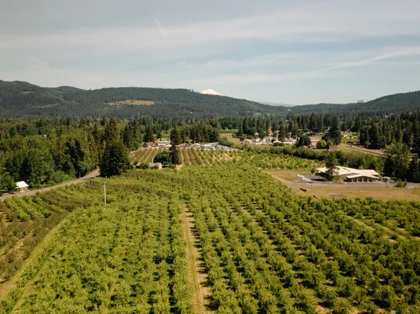 Highway 35 #201, Mount Hood Parkdale, OR 97041