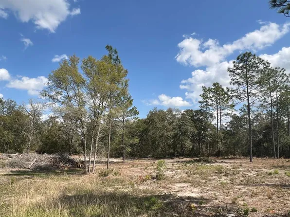 0 NE 134th Ter, Williston, FL 32696