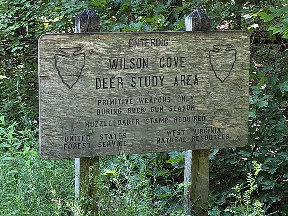 3rd image of 3699 Waites Run Rd