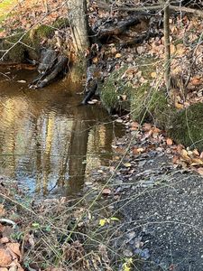 0 Stage Rd, Cummington, MA, 01026