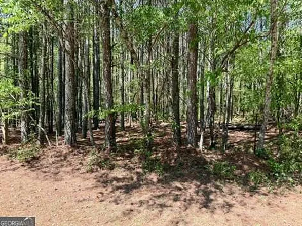 0 Haw Creek Dr, Cumming, GA 30041