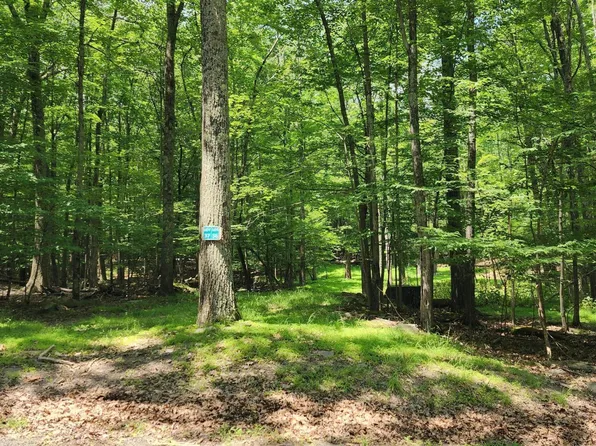 36 E Shore Dr #37, Hawley, PA 18428