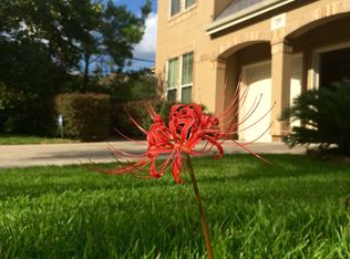 125 White Dr, Bellaire, TX 77401