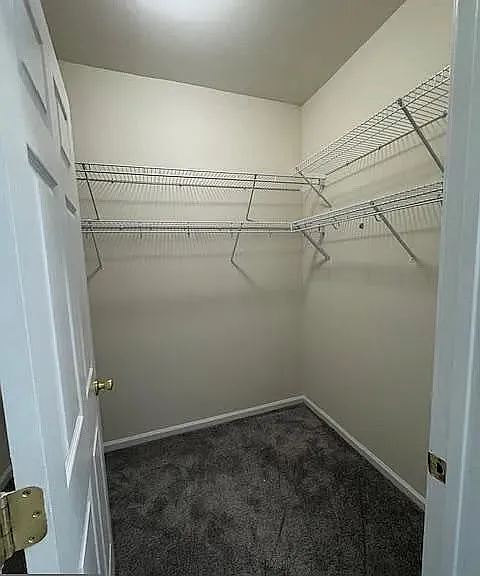 1 Cardiff Ct — Photo 28