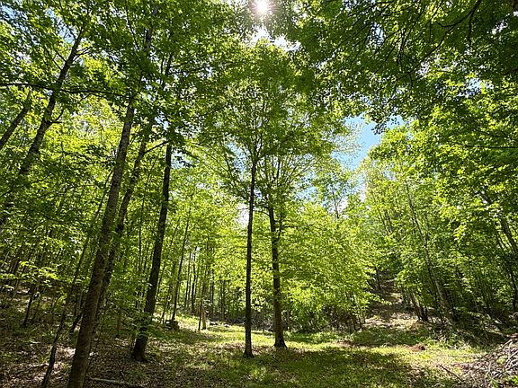 3rd image of 1 Highway 100 W Lot 1