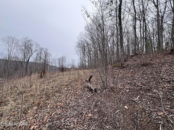 4th image of LOT 62 Apache Rd