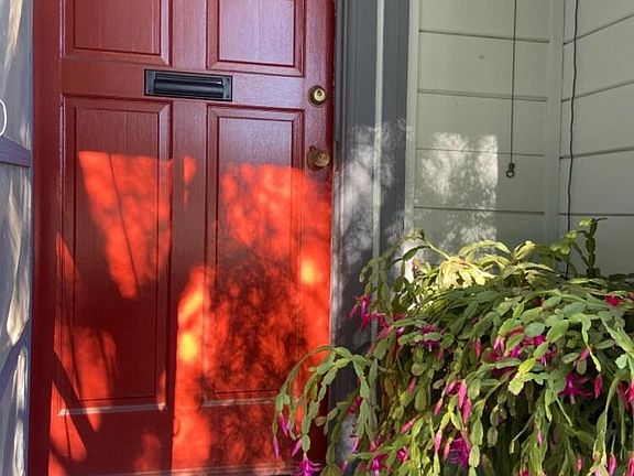 Entry door with real handbell