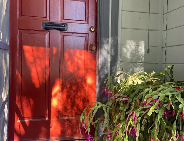 Entry door with real handbell