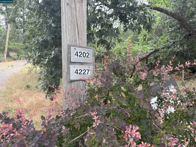 4227 Meadow View Rd, Murphys, CA, 95247