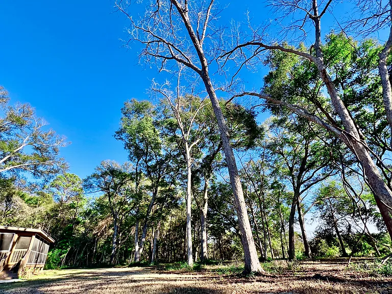 8183 Oyster Factory Rd — Photo 37