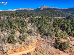 741 Pikes Peak Dr, Divide, CO 80814