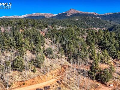 741 Pikes Peak Dr, Divide, CO, 80814