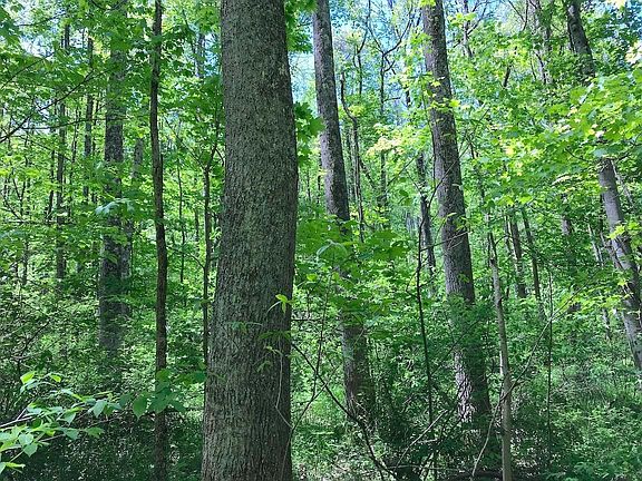 3rd image of 0 Fisher Rd