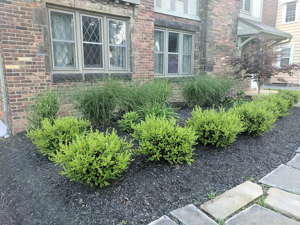 Beautifully landscaped