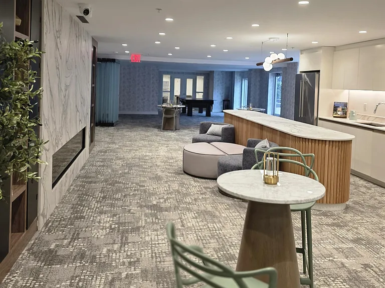 20 Avenue At Port Imperial #236 — Photo 11