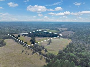 0 An County Rd #153, Palestine, TX 75801