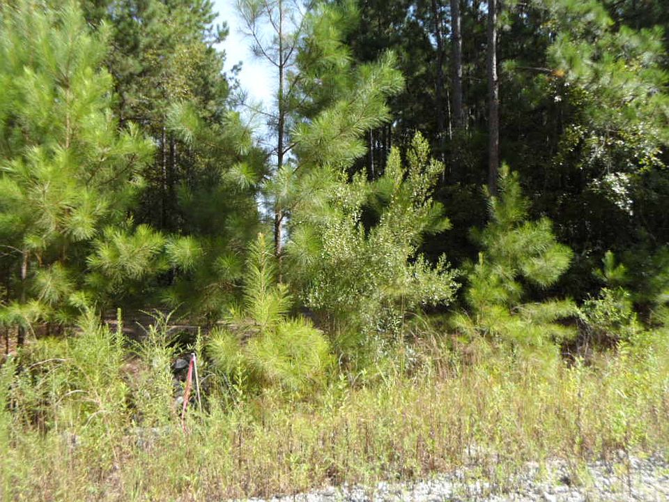2nd image of 00 Shiver Farms Ln