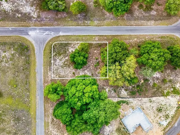 Guava Ter Lot 4, Ocklawaha, FL 32179