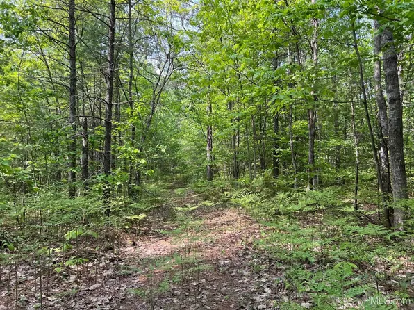 Powell Lake Rd, Wetmore, MI 49895