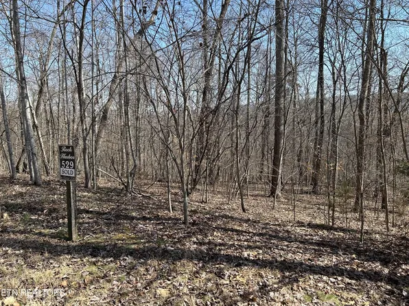 529 Garnet Trl Lot 529, New Tazewell, TN 37825