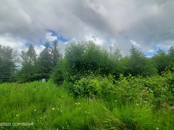 32370 Stacey Ln, Nikolaevsk, AK 99556
