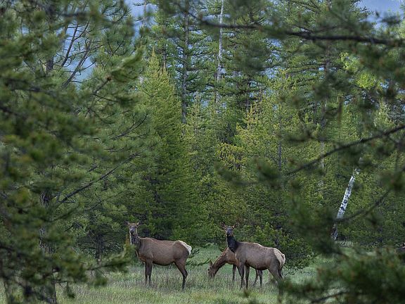 87th image of this home